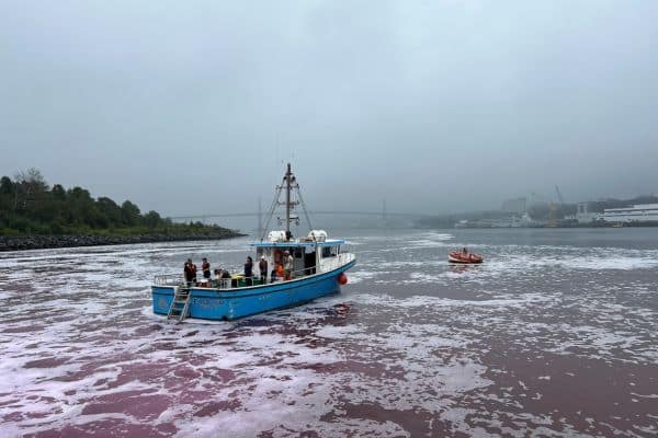 Sampling boat, dye is added to plume for monitoring