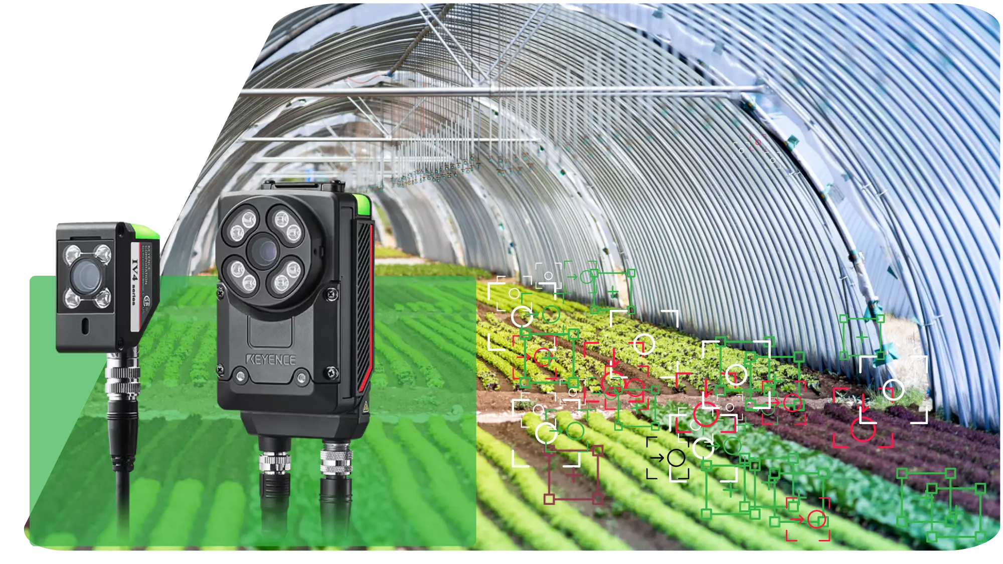 Machine vision