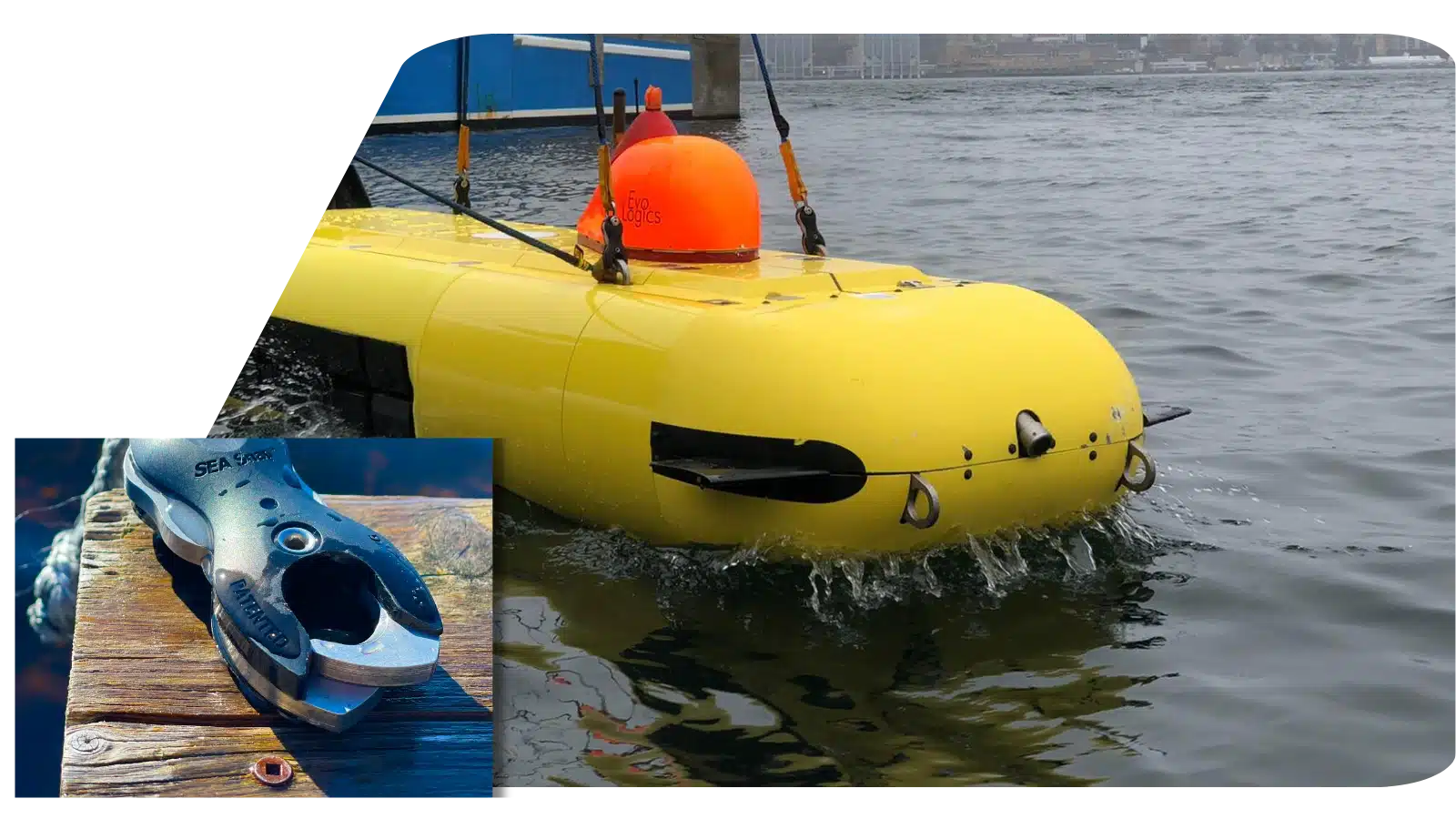 Product Development of Marine Products. 